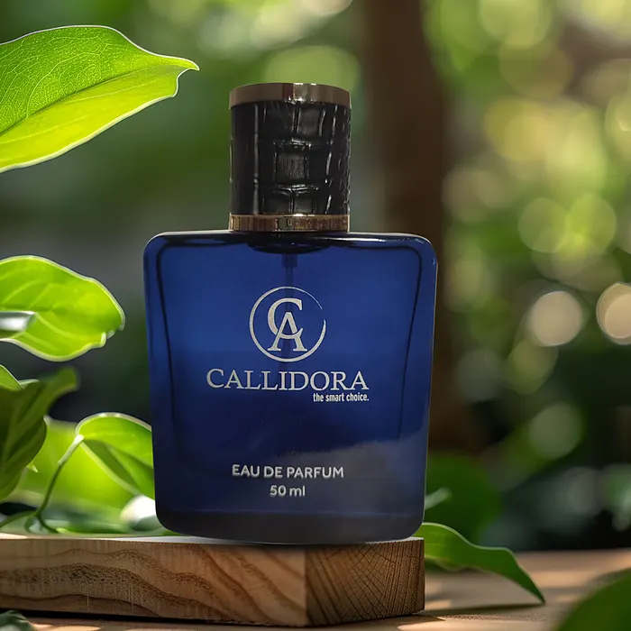 Callidora – L’univers Callidora 6